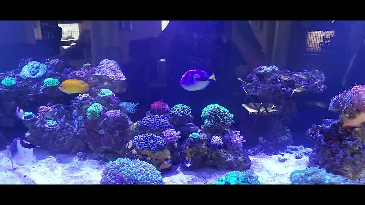 Planet Aquarium  tank update after old tank leaked...