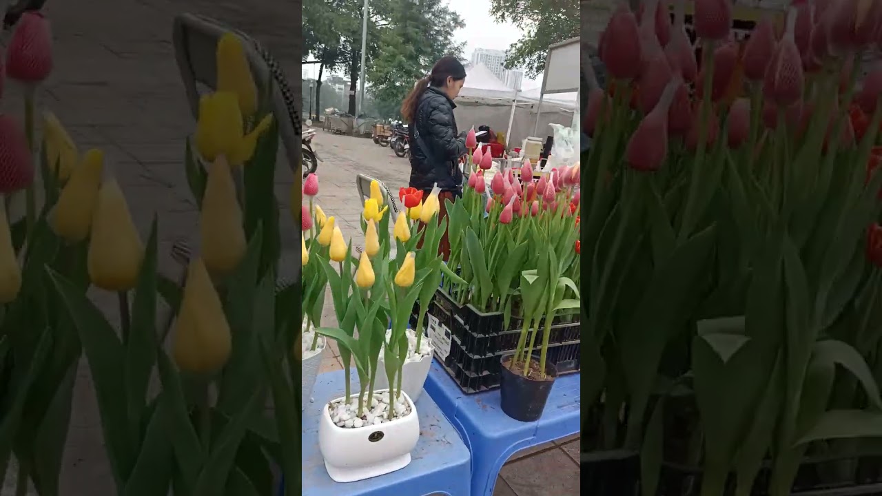 CHỢ HOA TẾT 2026 - phần 5