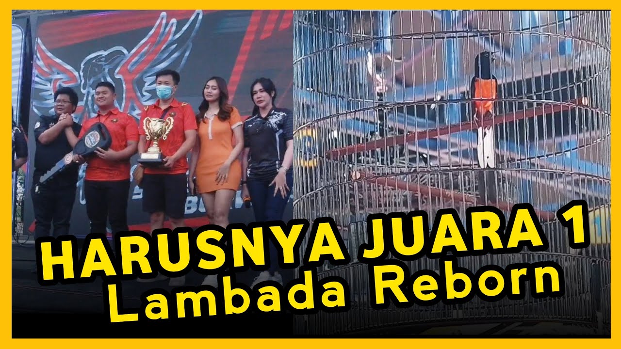 Lambada Reborn Gagal Bawa Fortuner Juara Kelas Utama 18,5 Juta Piala Kicau Jatim Raya