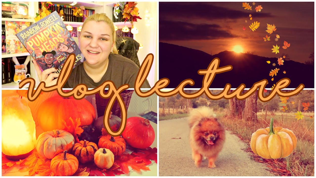 ❩ DES CITROUILLES PAR MILLIERS !! 🎃🍂 🍁🌙  | vlog lecture ❨