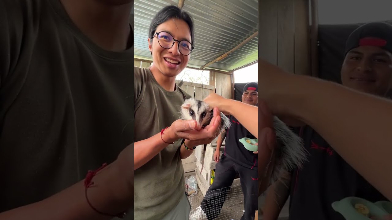 Conociendo la casa de Romel Racp