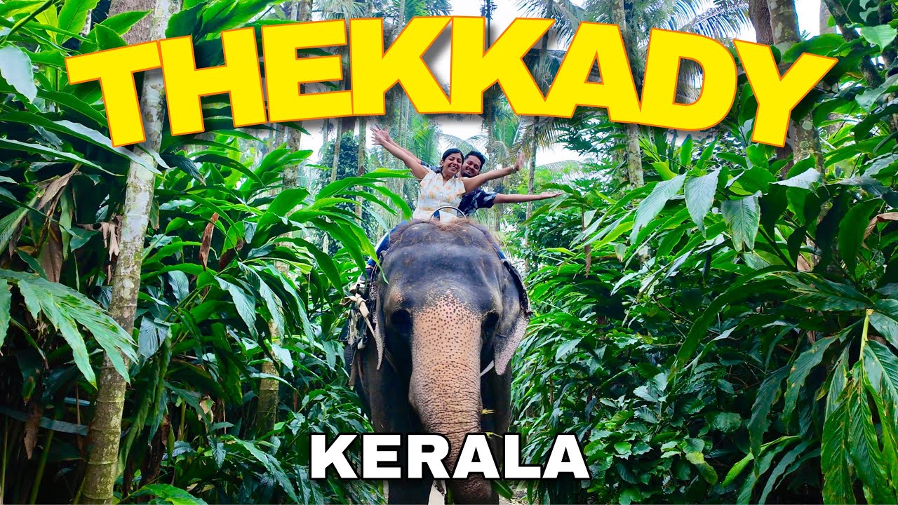 Thekkady Travel Guide | Periyar Safari, Elephants & Spice Plantations