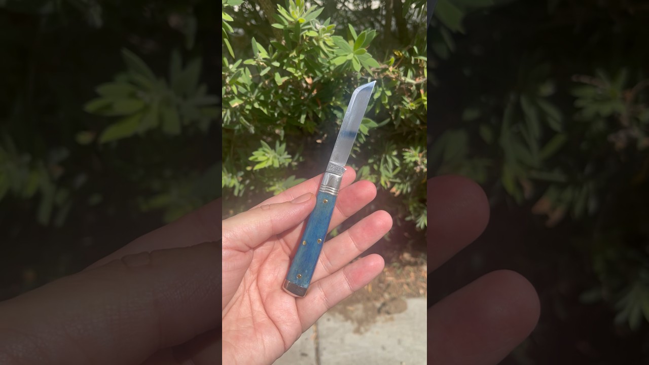NKD: Great Eastern Cutlery 49 Blue Camel Bone 🐪🦴#youtubeshorts #edc #knife