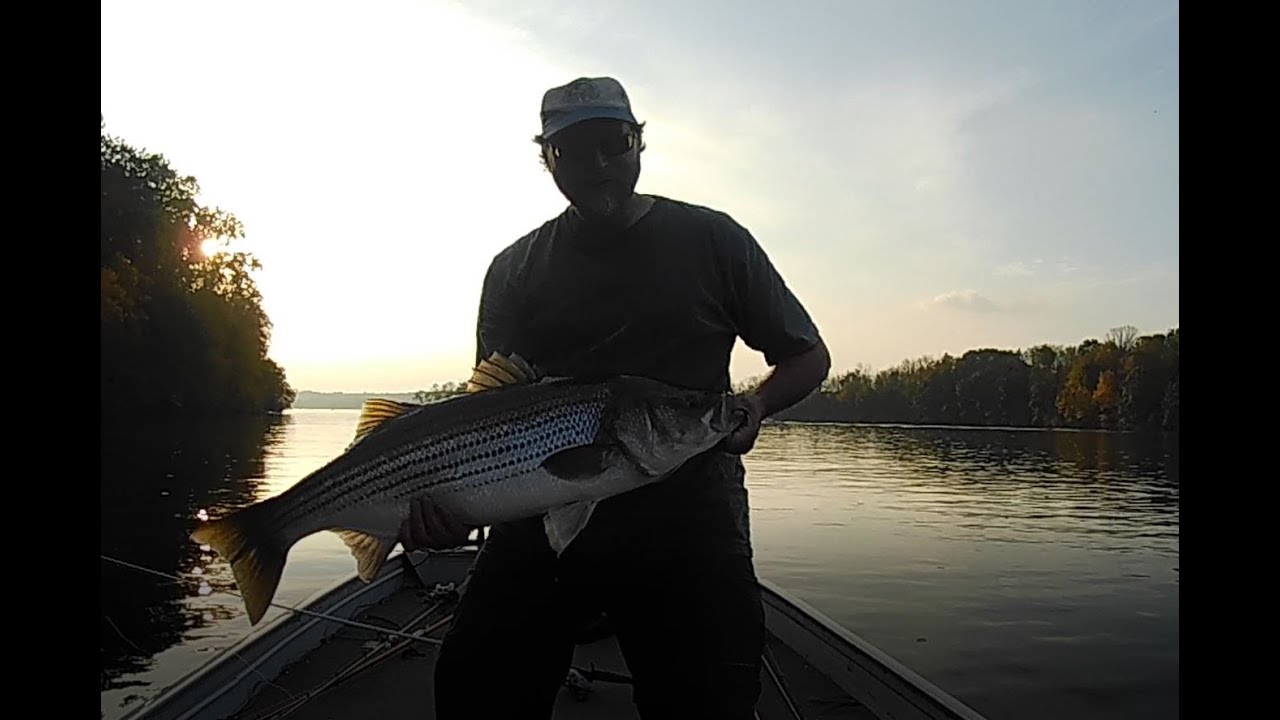 Where to Catch Stripers and Hybrids in and Nearby PA