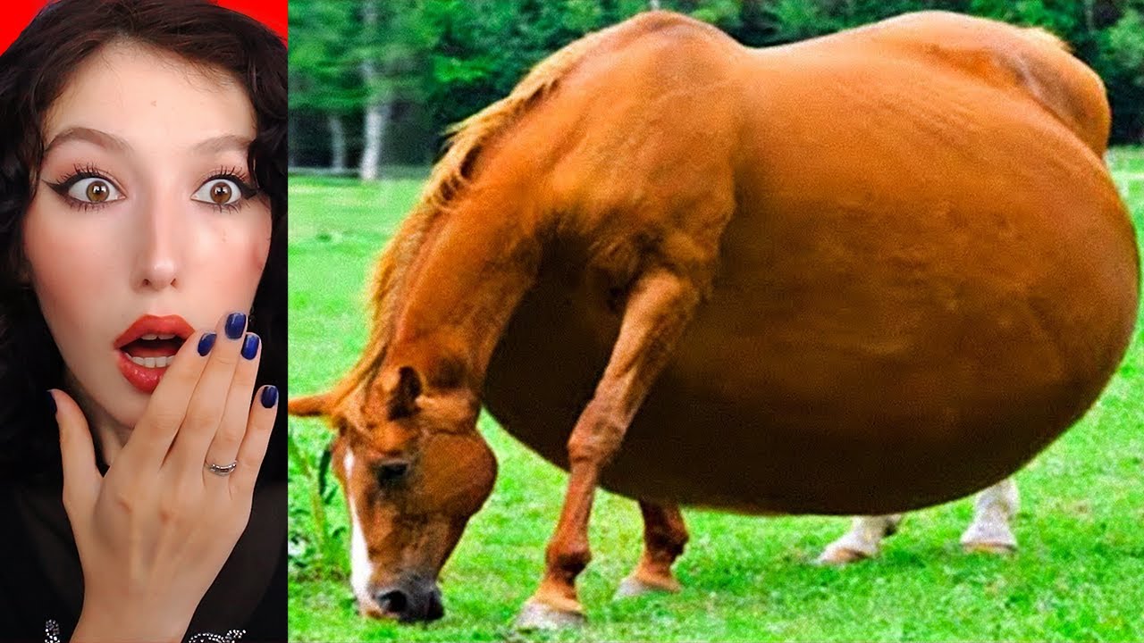 EN ZOR OHA DEMEME CHALLENGE (30 DAKİKA)