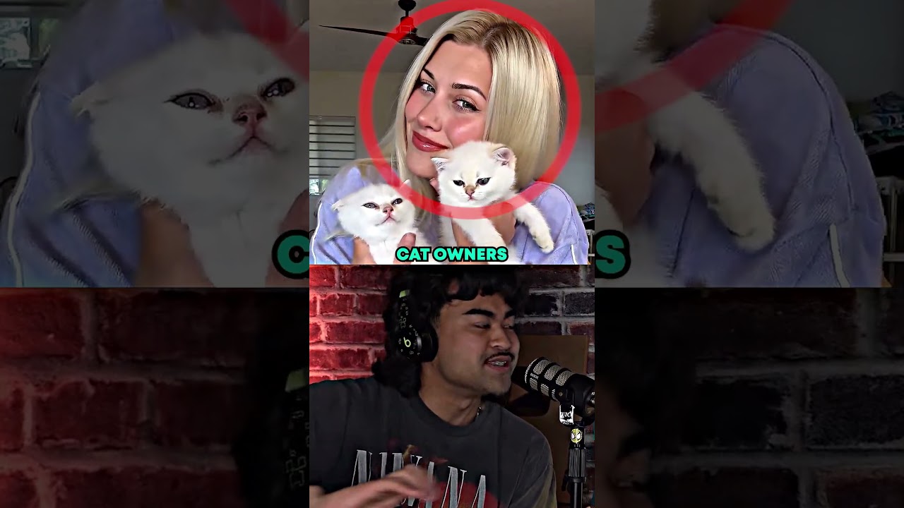 Can Cats Make You More Attractive? 🐈🤔