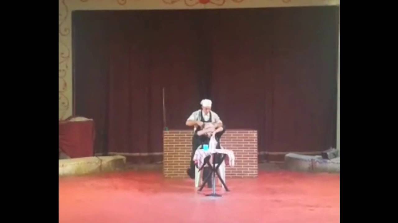 Circo Folloni - Cantina