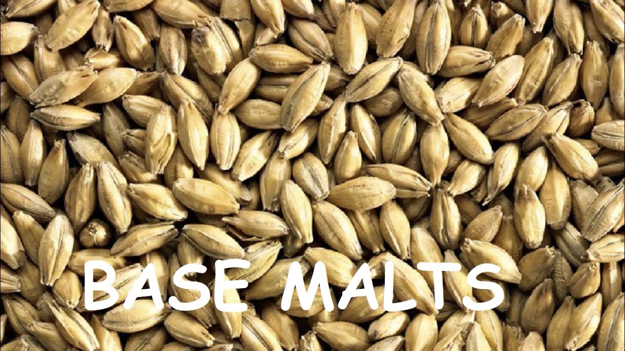 Understanding Base Malts (Pilsner, Lager, Pale Ale, Mild, Vienna, & Munich Malts) - Base Malts 101