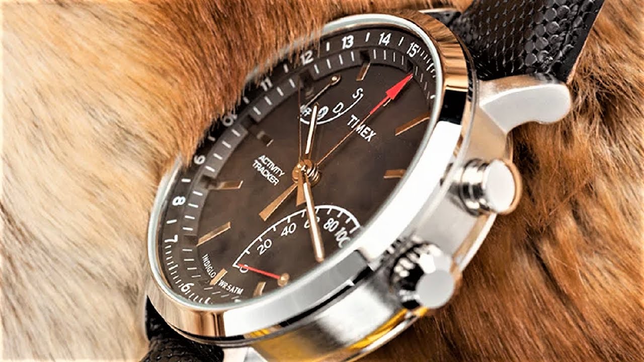 Top 8 Best Timex Watches To Buy in 2023