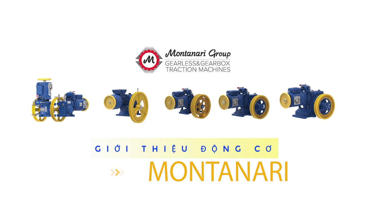 MONTANARI MOTOR - TPE | Animated Motion Graphics Video