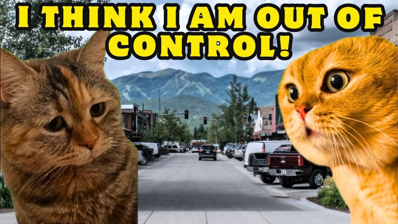 When a Cat Has Trouble in Controlling her Anger 