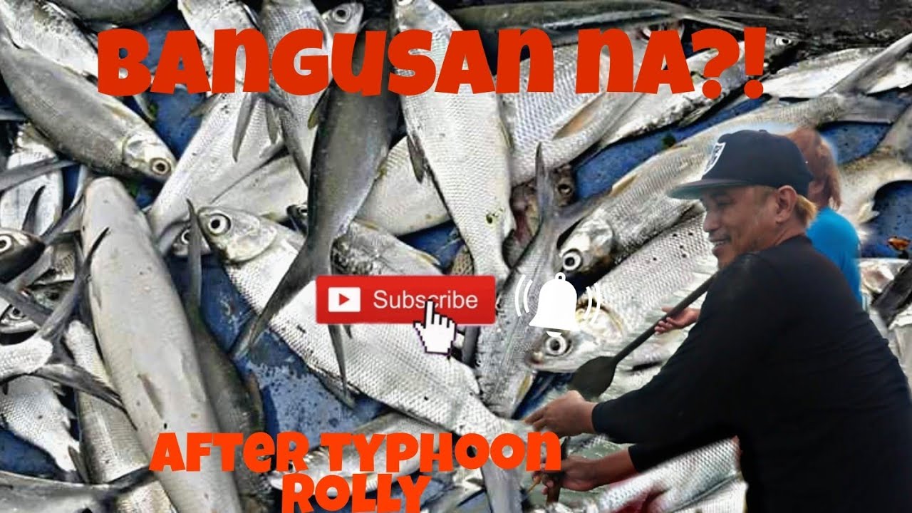 Jumackpot din sa bangus!!! laguna lake traditional bangus fishing|KULAS TV