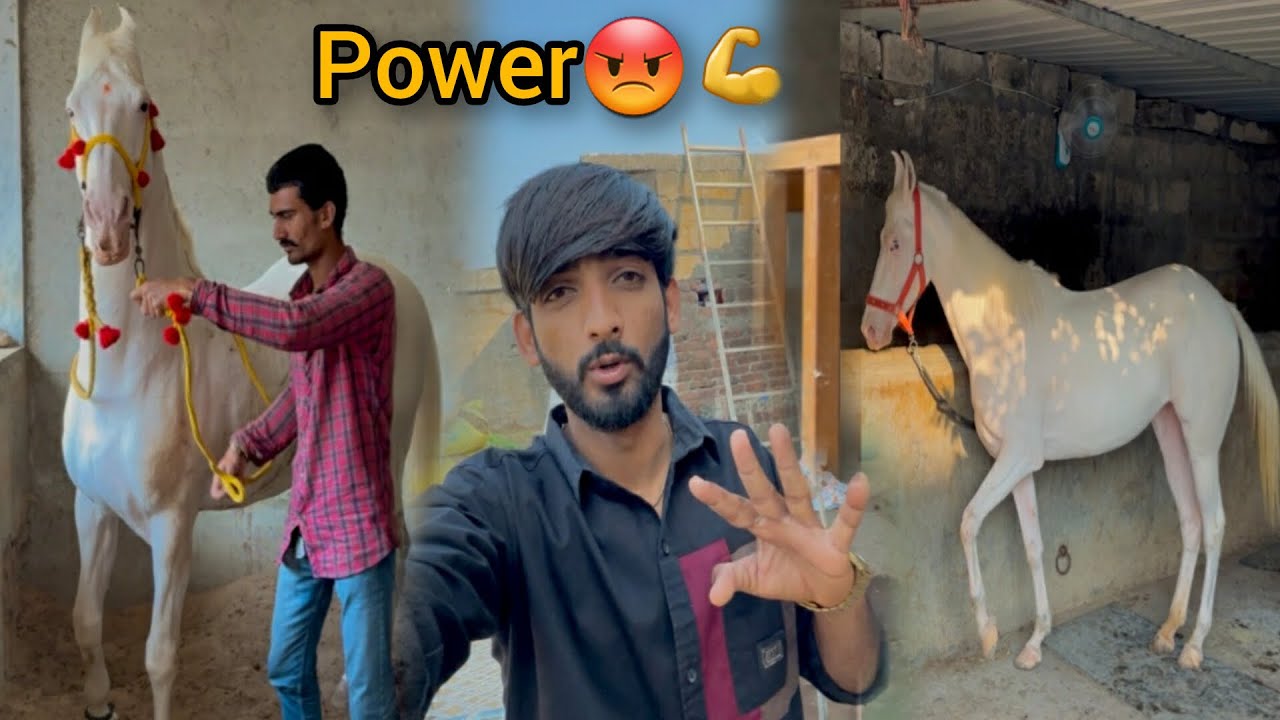 Aaj to ham bahot sare ghode dekhane ke liye gaye 😳
