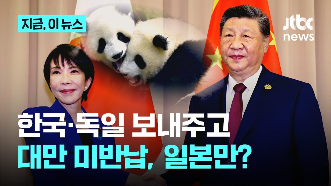 판다 반납 안 해도 되는 대만...한국·독일은 판다 보낸다는데｜지금 이 뉴스