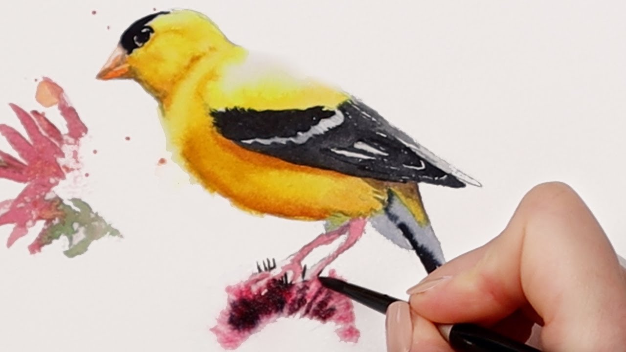 Watercolor Backyard Birds Easy Goldfinch Painting Tutorial