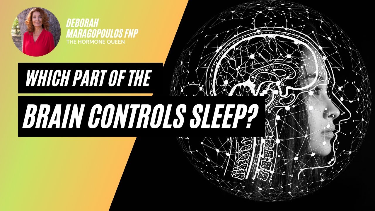 Which Part of the Brain Controls Sleep?