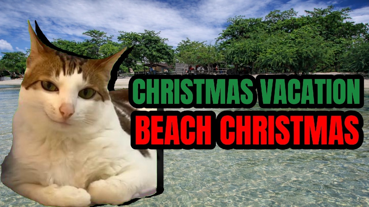 CAT MEMES: BEACH CHRISTMAS| CHRISTMAS VACATION SPECIALS