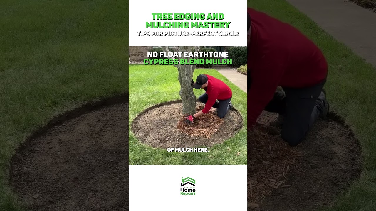 Tree Edging and Mulching Mastery!