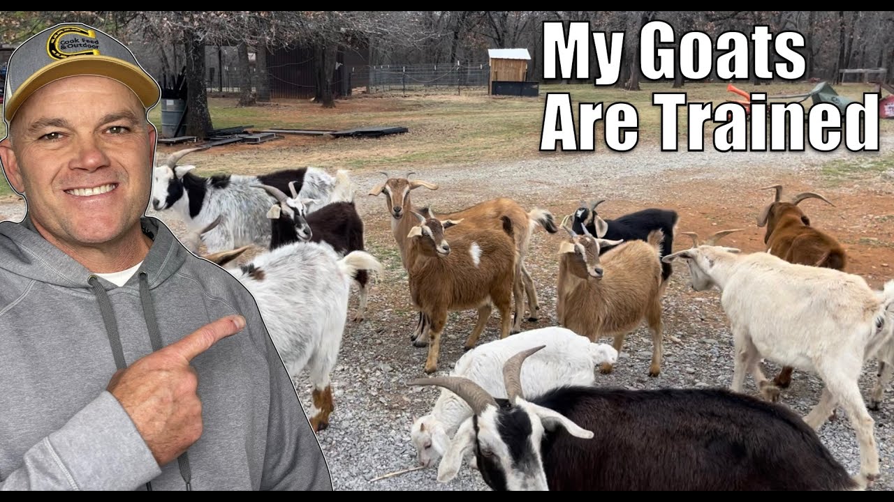 My Goats Make it Easy!