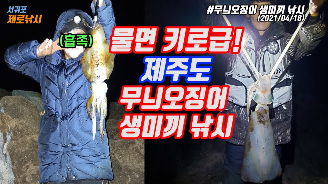물면 키로급이 나오는 제주도 무늬오징어 생미끼 낚시