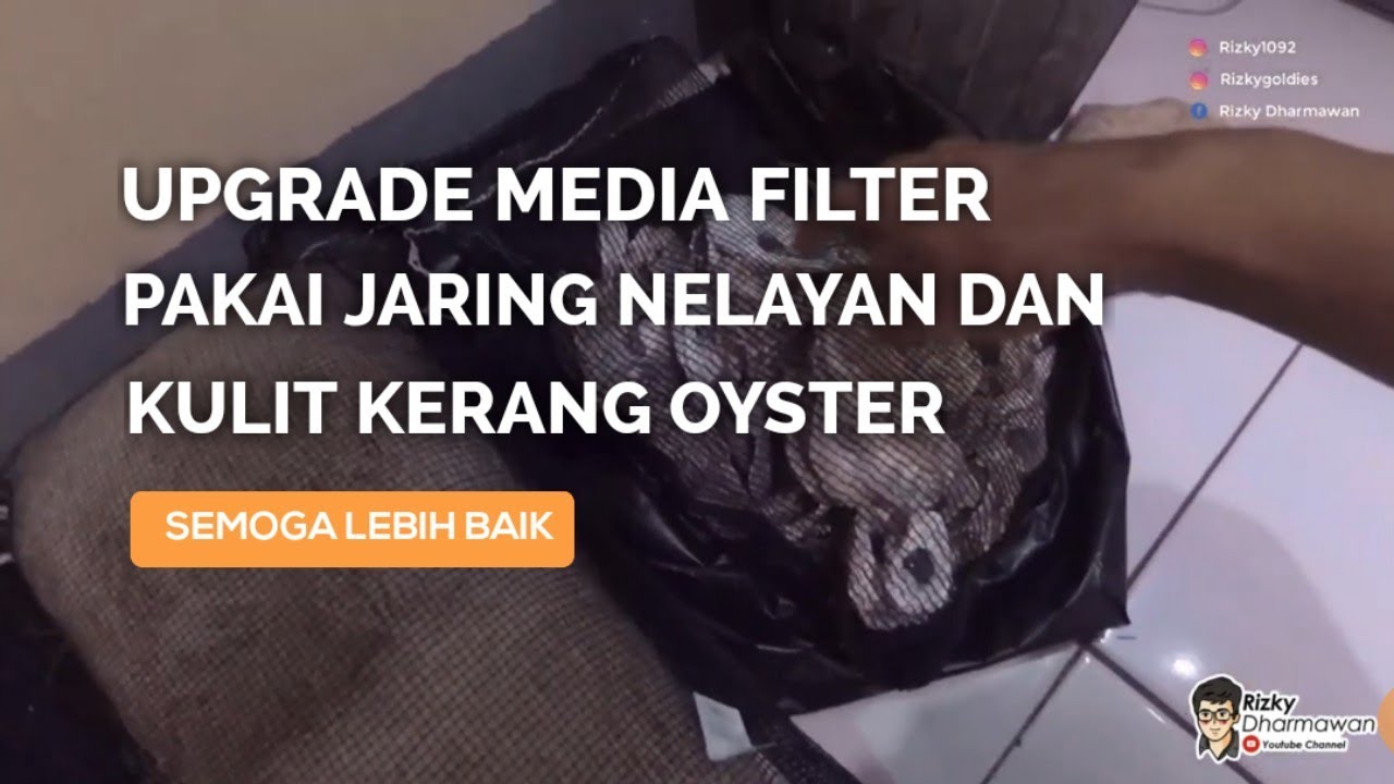 Upgrade Media Filter Aquarium Ikan Maskoki Pakai Jaring Nelayan dan Kulit Kerang Oyster