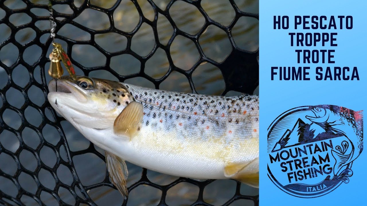Ho pescato TROPPE trote - FIUME SARCA