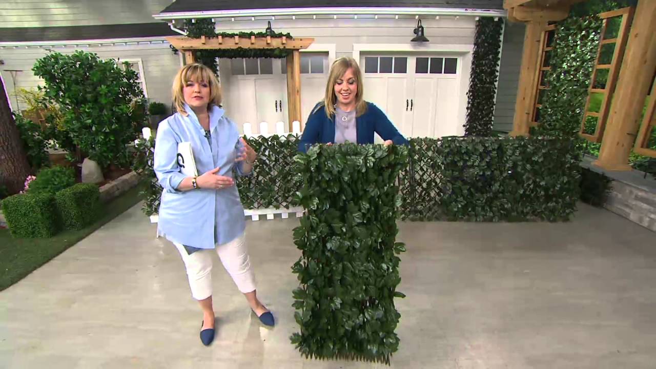 Compass Home Expandable Faux Ivy Privacy Fence on QVC