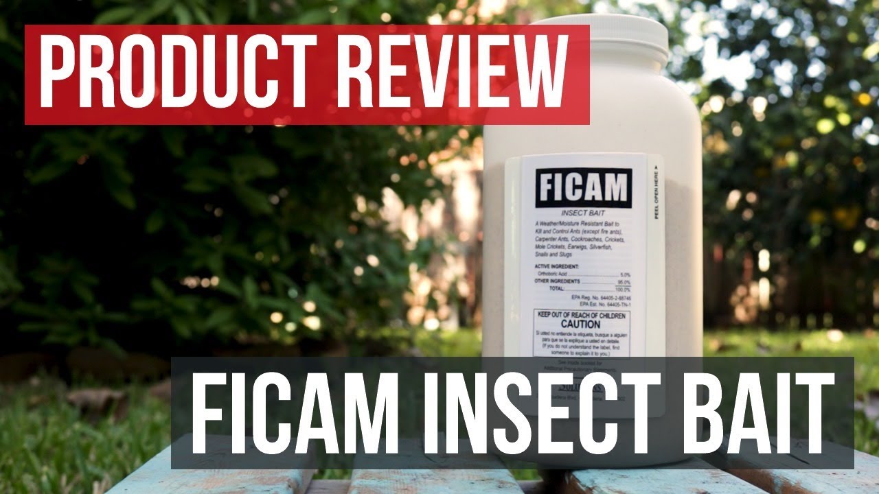 Ficam Insect Bait: Product Review