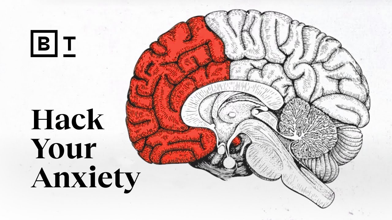 Anxiety evolved to help us &mdash; what went wrong? A neuroscientist explains. | Wendy Suzuki