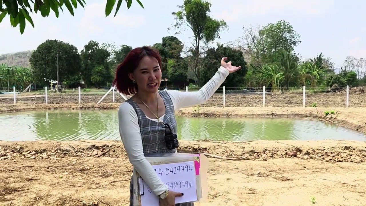 #ขายที่ดินราคาถูกมาก ปลูกบ้านได้ ท่าม่วง กาญจนบุรี น้ำไฟครบ 😃😃😃