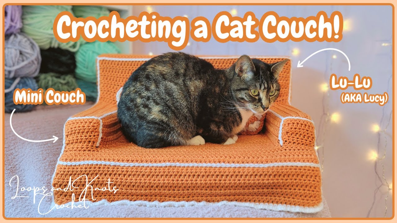 Crocheting My First Cat Couch!