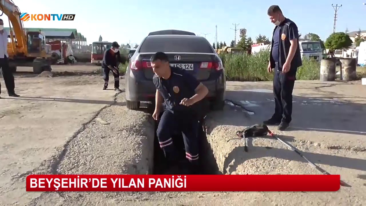 Beyşehir'de yılan paniği
