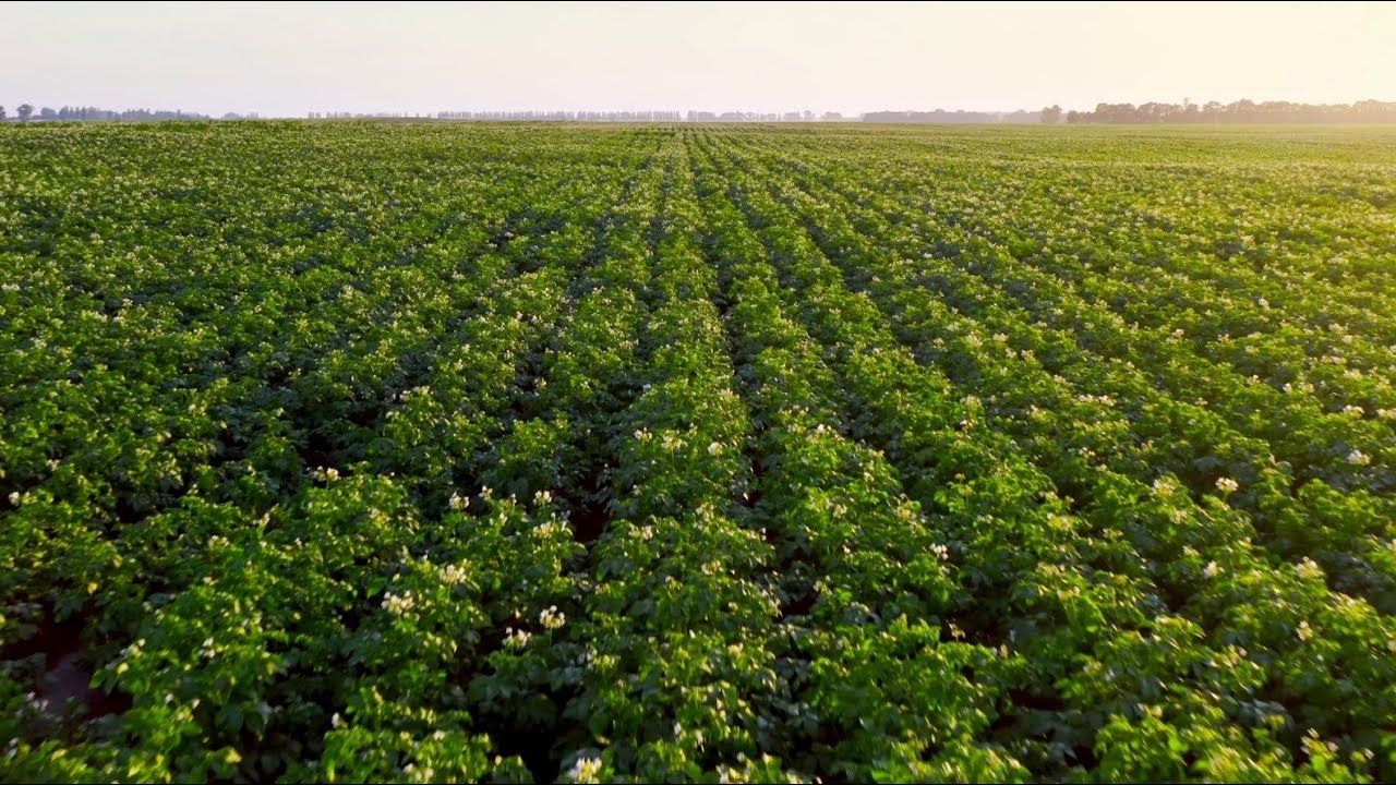 NRM Soil Organic Matter: how analysis helps optimise crop production sustainably