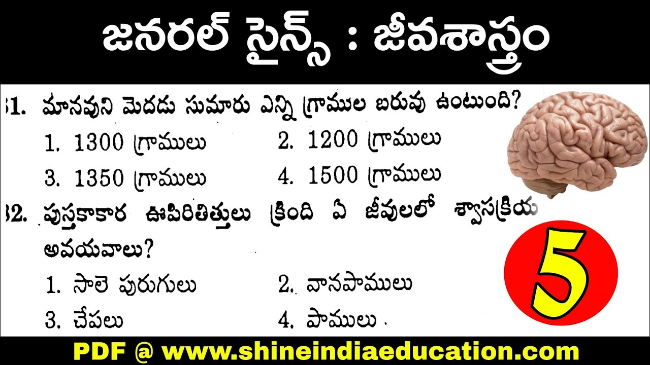 జనరల్ సైన్స్ జీవశాస్త్రం - General Science Biology Important Model Paper - 5 Practice Bits in Telugu