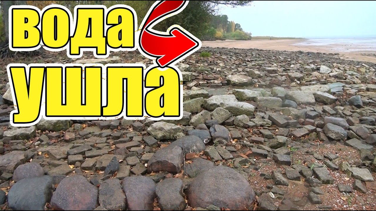 Обалдеть!Ушла вода и пошли находки!Столько монет я еще не находил!