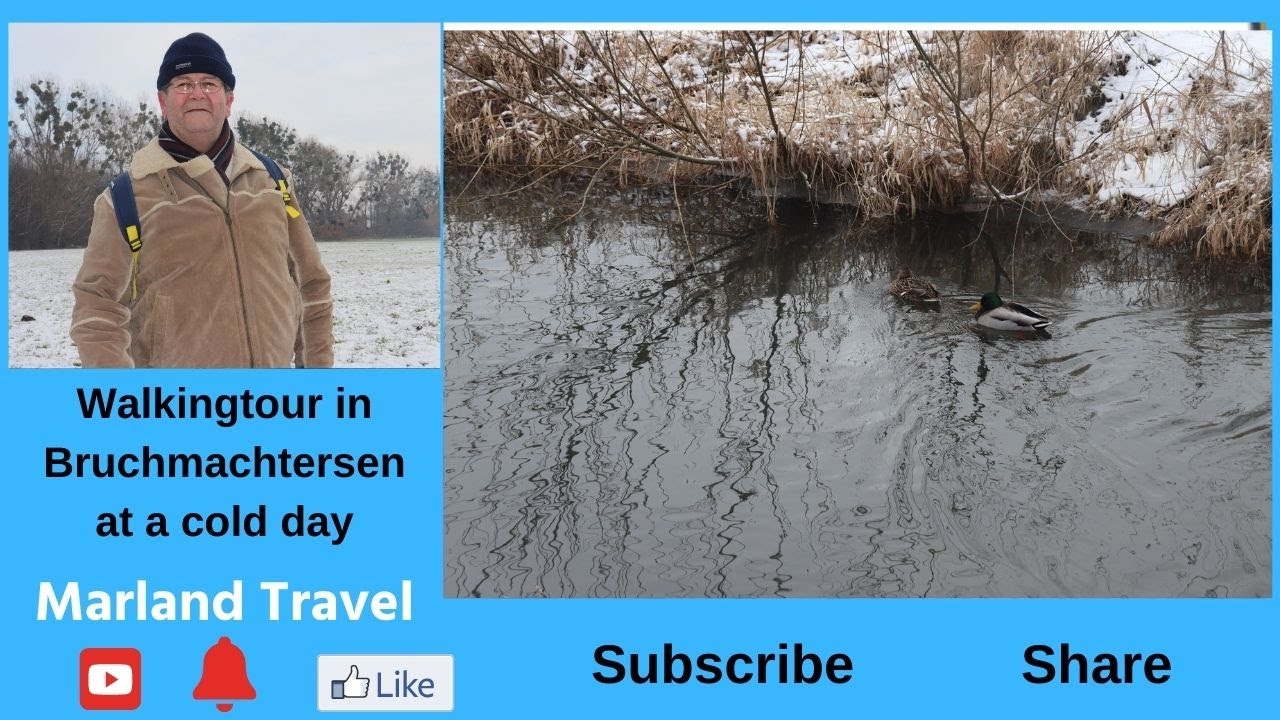 Winter in Salzgitter Germany 2021 ( Snowfall ) #schneedeutschland #germany #marlandtravel
