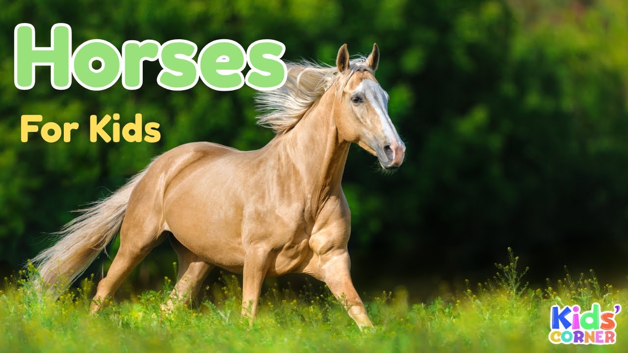 Horses For Kids | Facts About Horses | Learn About Horses | Animals For Kids