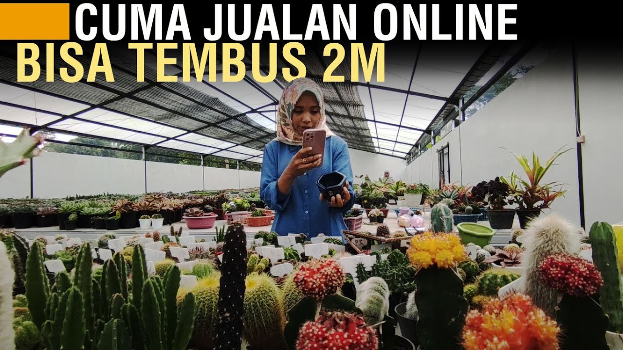 SAKING LARISNYA JUALAN KAKTUS ONLINE SAMPAI DIDATANGI ORANG PAJAK