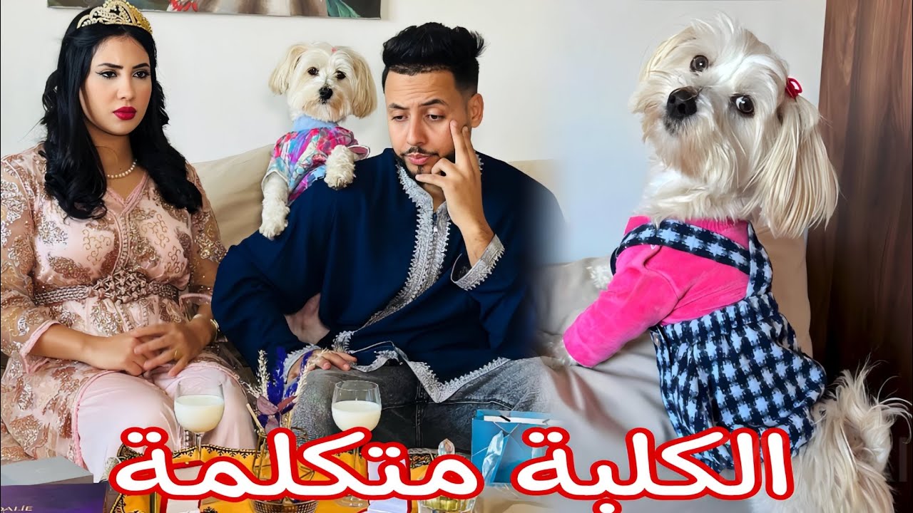 فيلم مغربي : بسباب لكلبة ديالو غارت مرتو حيت كيبغيها و كيفضلها عليها (الكلبة المتكلمة و الوفية)