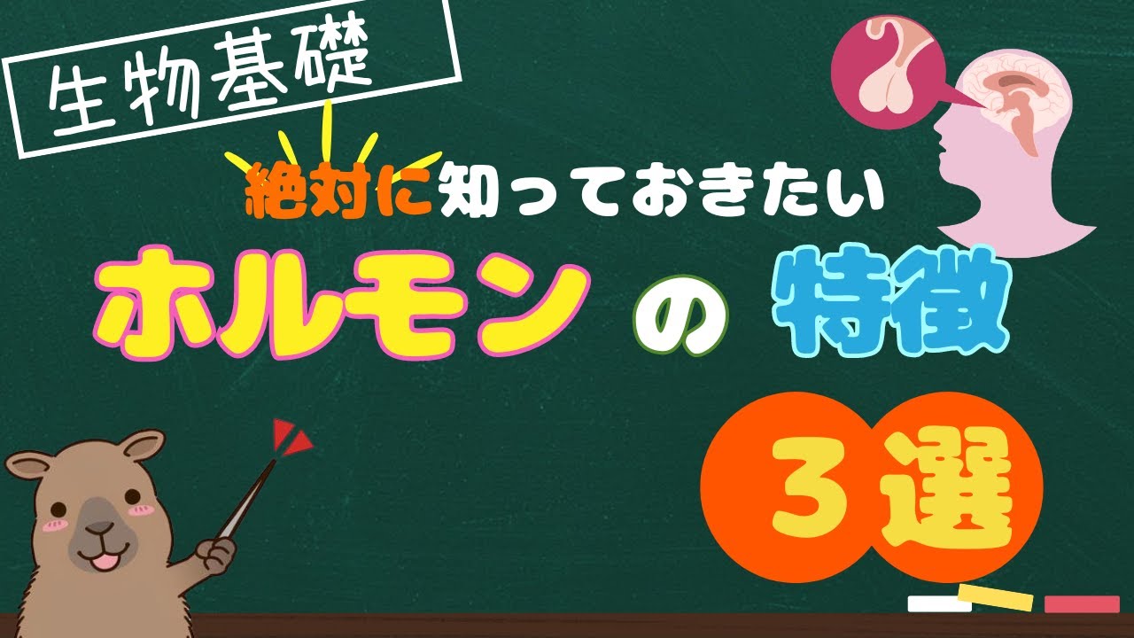【生物基礎】ホルモンのポイント３選！！