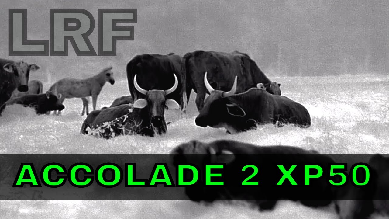 *NEW* Pulsar Accolade 2 XP50 LRF | REVIEW