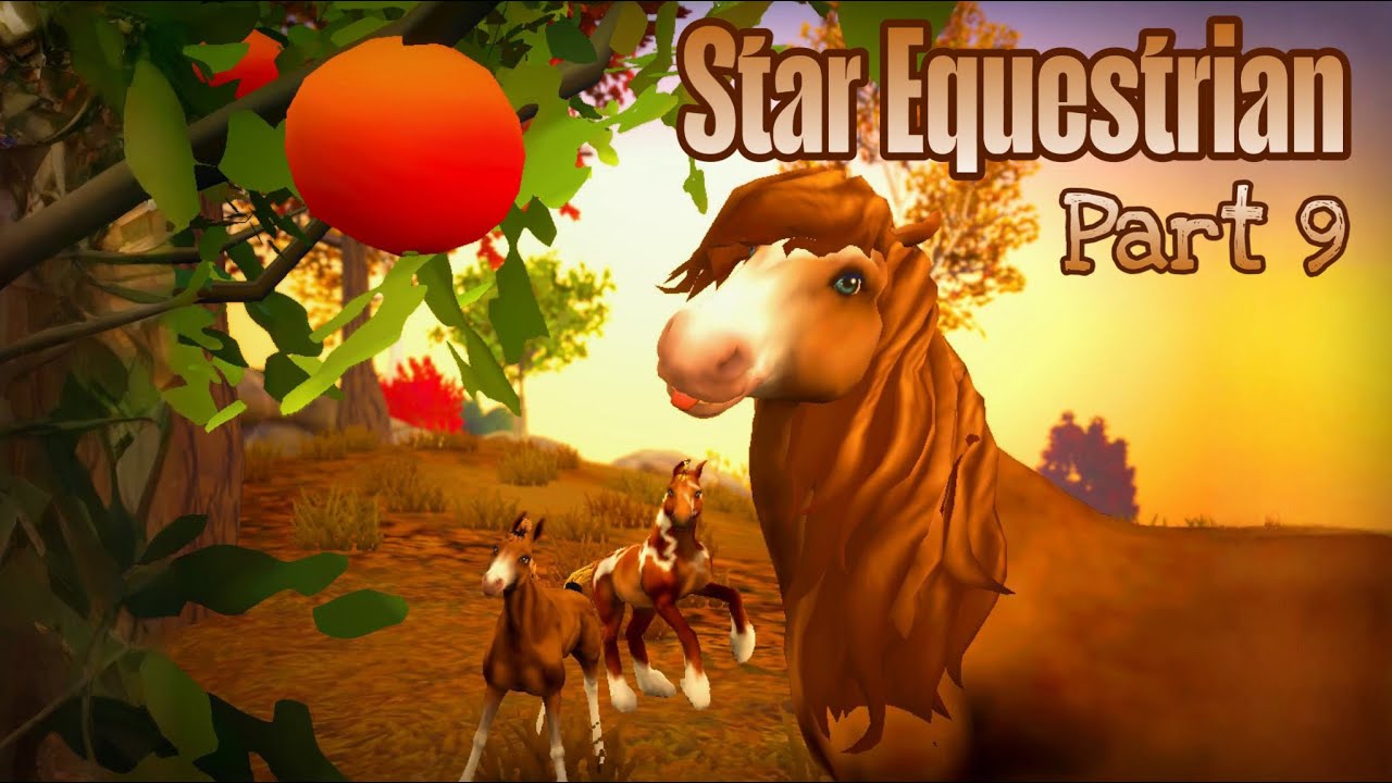 Star Equestrian- Part 9 (Updates & Photo Tips)