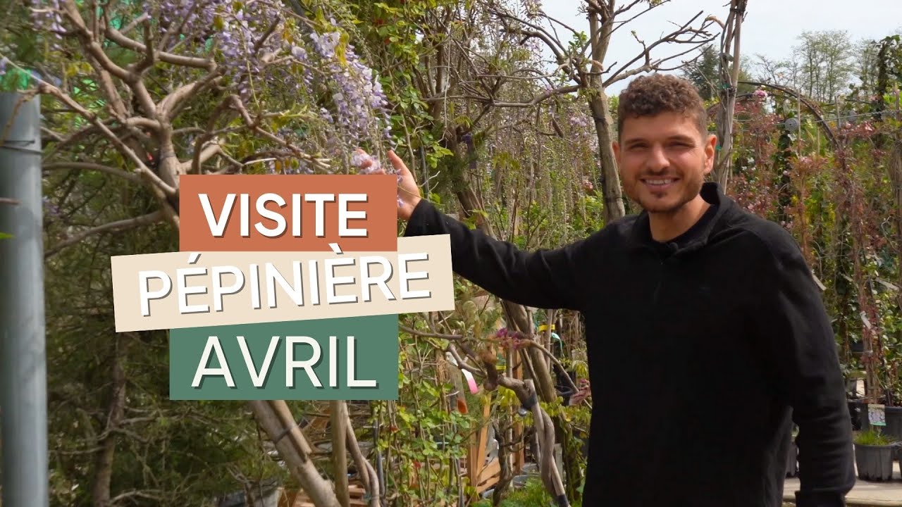 Présentation de la pépinière en AVRIL