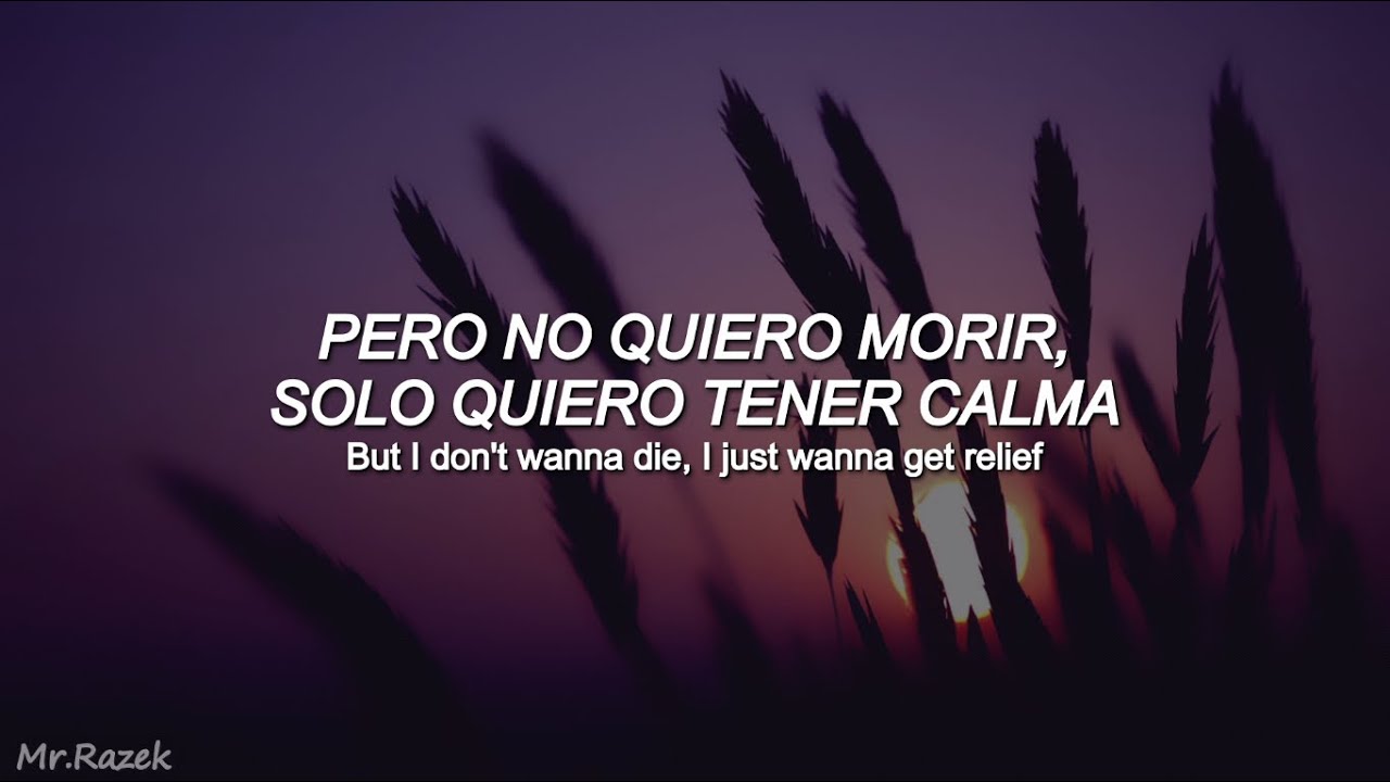 NF - Hate Myself (Traducción al Español)