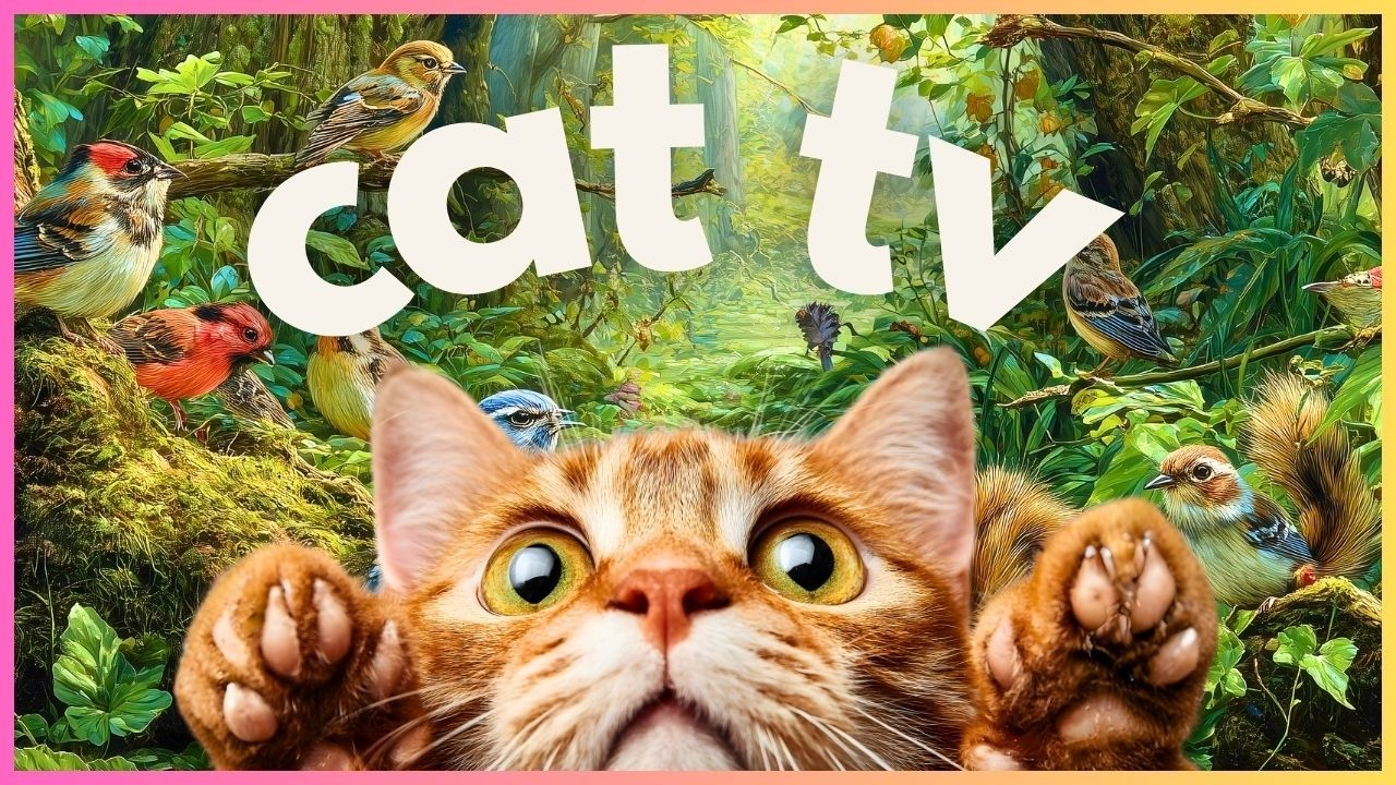 🔴 [LIVE 24/7] Keep Your Cat Enriched 😻 Nonstop Nature TV & Music 🐥
