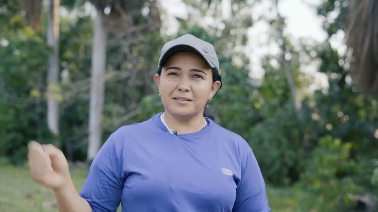 São Florestas: Consumo e produção responsáveis