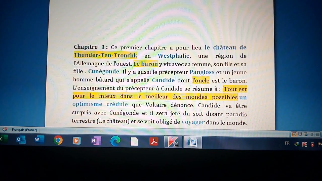 Résumé Candide Chapitre lacunaire 1