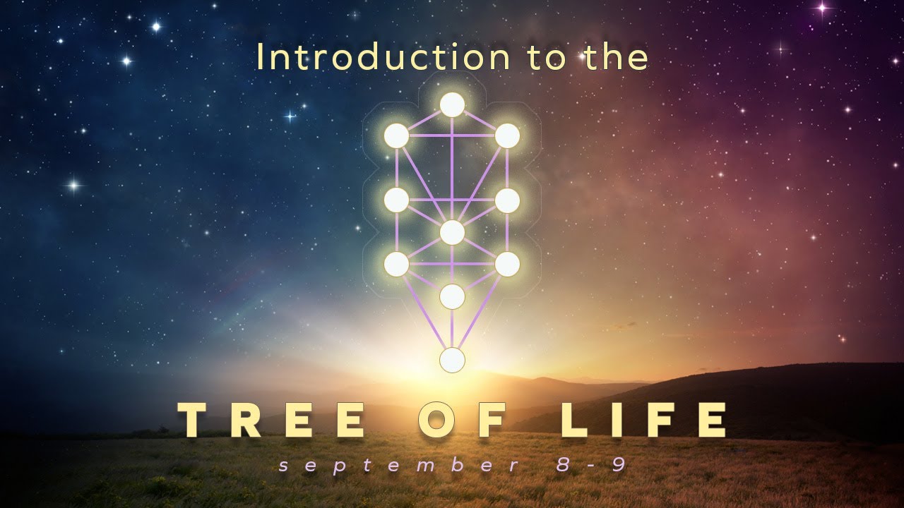 Introduction to the Tree of Life (Promo_2) - Dr. O - AACTEV8 International