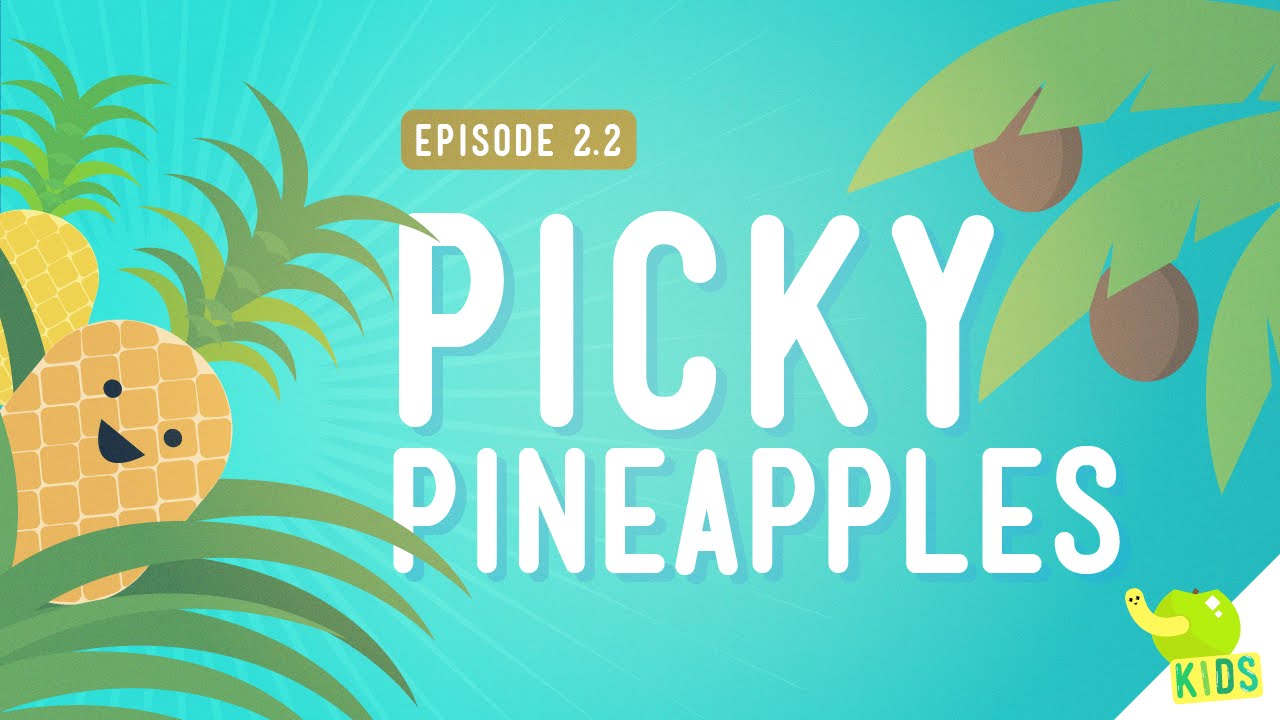 How to Get Resources - Picky Pineapples: Crash Course Kids #2.2