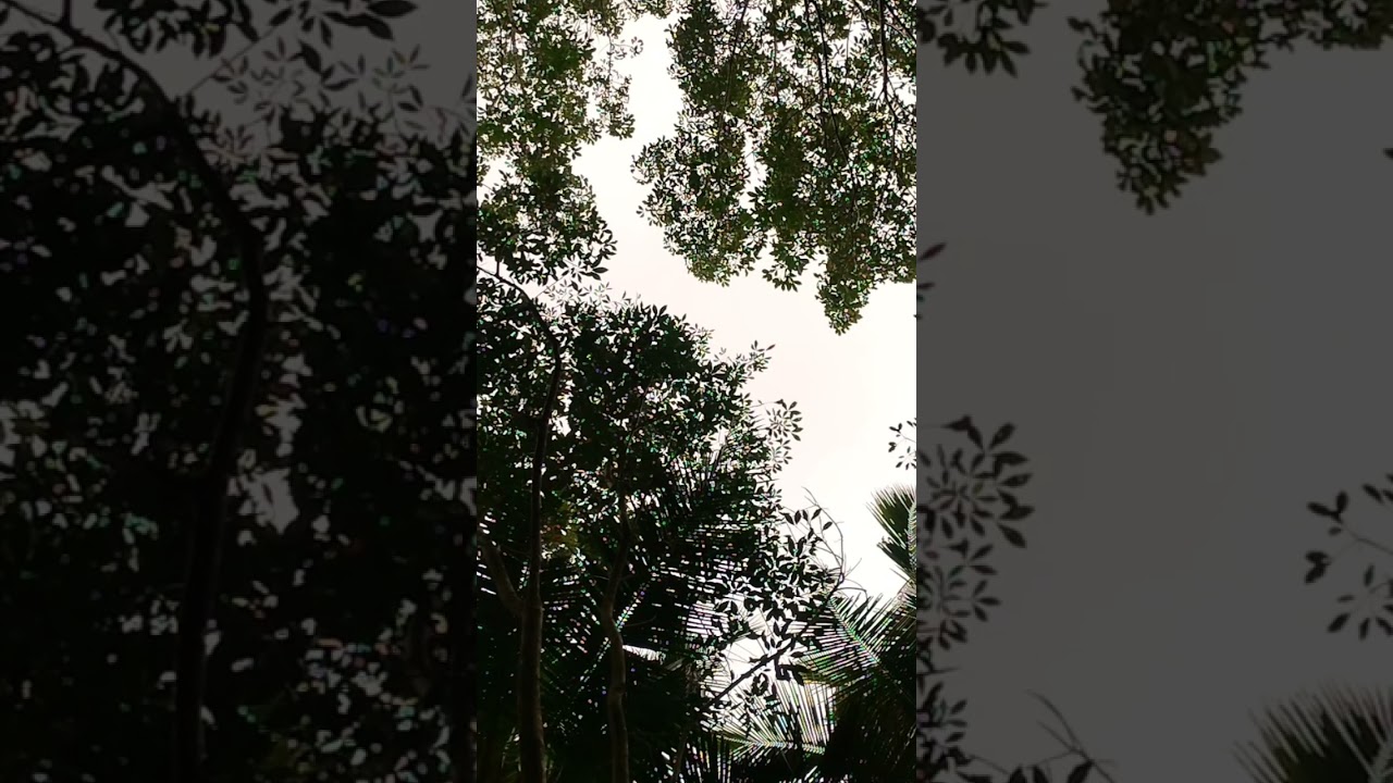 #orunation #tamilrap #010 #tamiltrending #2023shorts